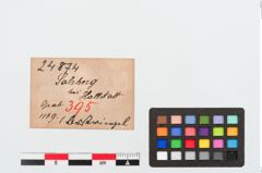 Etiketten zu Bernsteinringperle (NHMW-PRAE-024874)